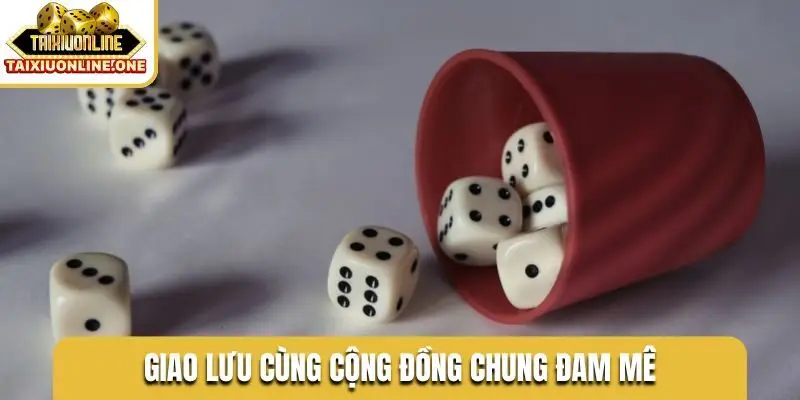 Giao lưu cùng cộng đồng chung đam mê