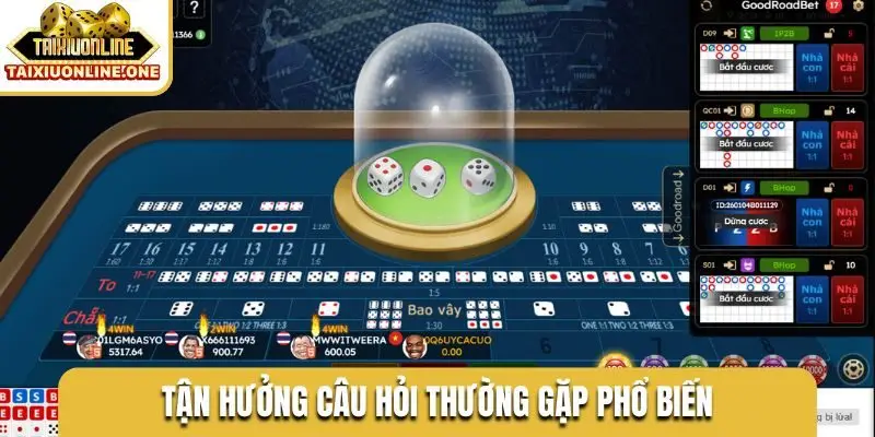 Tận hưởng câu hỏi thường gặp phổ biến