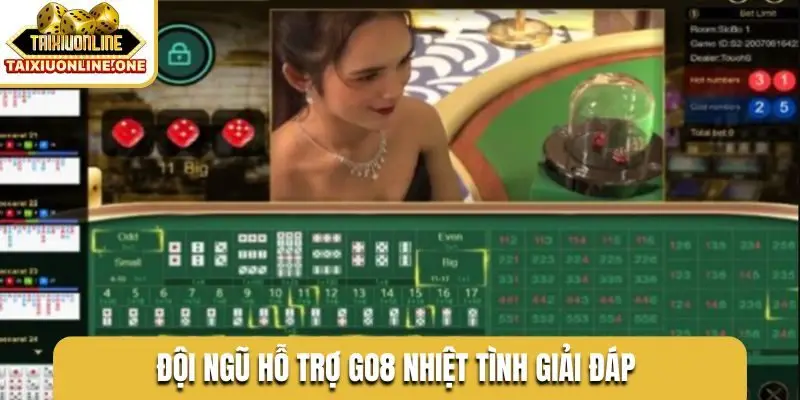 Đội ngũ hỗ trợ GO8 nhiệt tình giải đáp